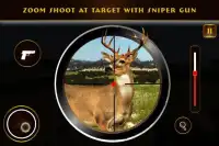 Deer hunter shooter Screen Shot 5