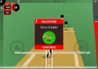 Smash and Slog Cricket Screen Shot 9