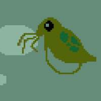 Daphnia Catcher