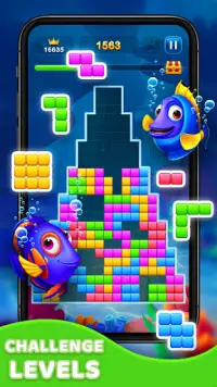 Block Puzzle Fish – Free Puzzle Games Screen Shot 4