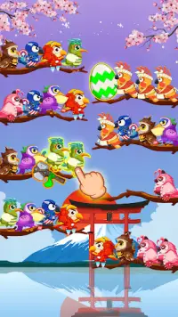 鳥の分類: バードソートパズル Screen Shot 5