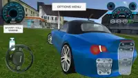 Roadster Car Driving City Screen Shot 4