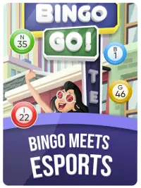 Bingo Go - Daub from home Screen Shot 4