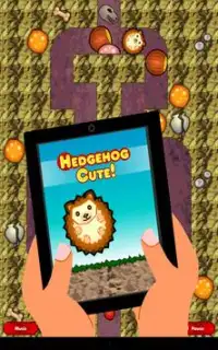 Hedgehog Cute (free with ads) Screen Shot 4