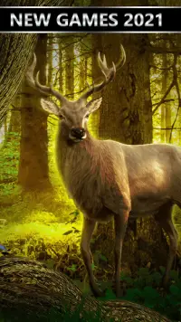 Wilderness Hunting ： Jogo de tiro ao alvo Screen Shot 5