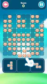 Zoo Block - Sudoku Block Puzzle - Free Mind Games Screen Shot 1