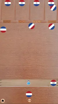 Sjoelbak - Dutch Shuffleboard Screen Shot 2
