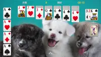 Solitaire - Classic Card Games Screen Shot 9