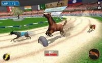 Real Dog Racing Tournament Screen Shot 9