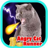 angry cat runner rush 3d