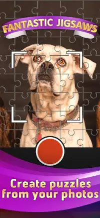 Fantastic Jigsaw Puzzles Screen Shot 3