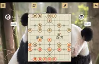 Chinese Chess - Xiangqi Screen Shot 23