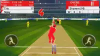 Play Cricket Screen Shot 3