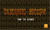 Dungeon Escape Screen Shot 0