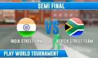 Real Street Cricket Cup 2017 Screen Shot 3