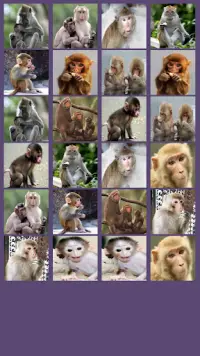 Monkey Memory Game Screen Shot 2