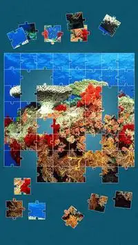 Sea Life Jigsaw Puzzles Screen Shot 7
