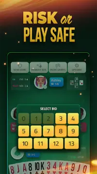 Spades Offline - Card Game Screen Shot 1