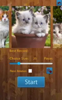 Katten Jigsaw Puzzle Screen Shot 4