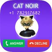 Miraculous Cat Noir Fake Call