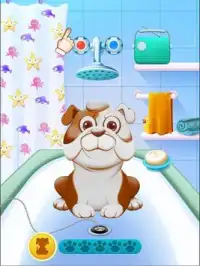 Pet Daycare Screen Shot 5