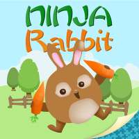 Ninja Rabbit