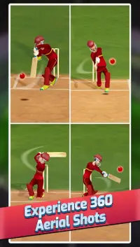 All Star Cricket Screen Shot 2
