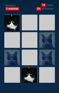 Cats Game: Memory Screen Shot 2