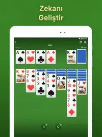 Solitaire - tek taş kart oyunu Screen Shot 8