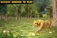 Cheetah Attack Sim Screen Shot 7