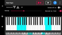 Simple piano with recorder Screen Shot 4