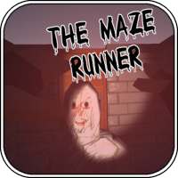 Maze Runner   A Horror  Game