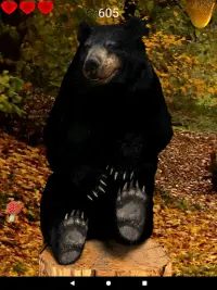 Hands with Bear Screen Shot 19