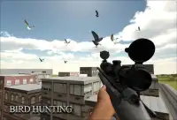 Berburu burung Shooter 2016 Screen Shot 3