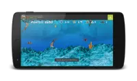 Wonder Fish Jogos Grátis HD Screen Shot 1