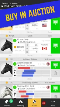 Stable Champions - Horse Racing Manager Screen Shot 3