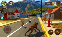 Boxer Dog Simulator Screen Shot 2