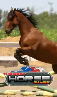 Horse Games Screen Shot 1