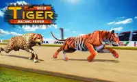 Cane vs Tigre animale gara simulatore 2017 Screen Shot 0