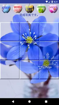 Sliding Puzzle 花のスライドパズル Screen Shot 3