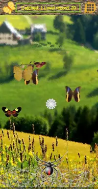 Arkanoid: Butterfly catcher Screen Shot 4