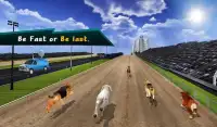 الكلب السلوقي البرية سباق Screen Shot 17