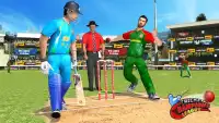 Cricket Champions League Screen Shot 3