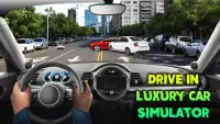 Drive In Luxury Car Simulator Screen Shot 0