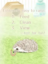 Hedgehog Pet Screen Shot 7