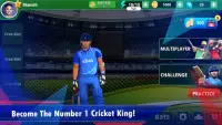 Cricket King™ Screen Shot 1