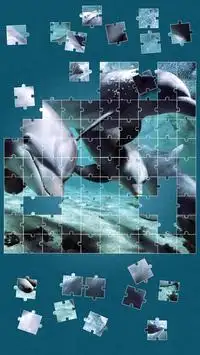 Dolphins Jigsaw Puzzle Screen Shot 1