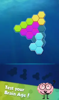 Hexa  Block: Triangle Puzzle Screen Shot 2