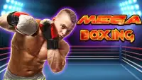 Mega Boxing - Real 3D Screen Shot 0