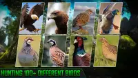 Jachtspellen: vogels schieten Screen Shot 2
